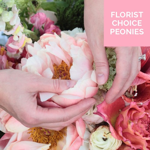 Paeonia Rose Bouquet Florist Choice